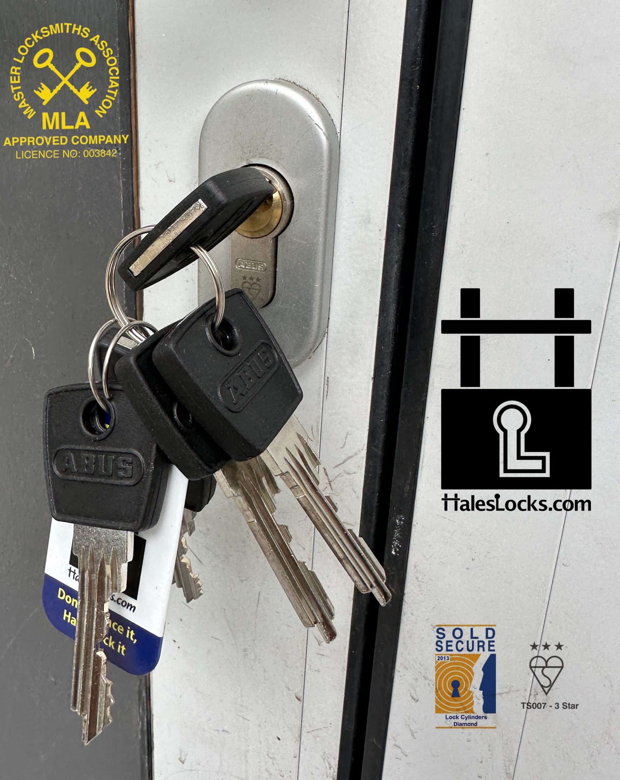 Abus X60